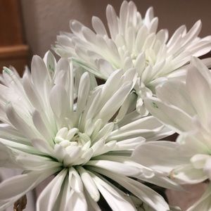 Meet your Posher, Mariah